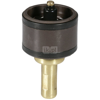 Tłoczek do zaworu TM200