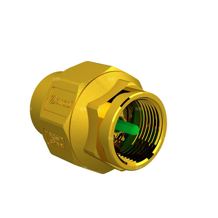 Zawór zwrotny<Producent STOP Vitaq> 2 1/2'' GW