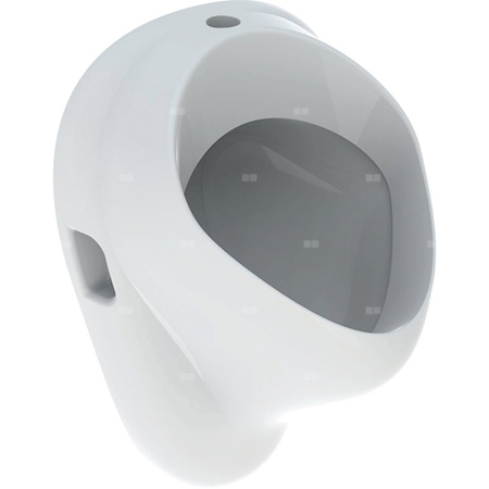 Geberit Felix Pisuar, B35cm, H56cm, T35.5cm, dopływ u góry, odpływ do tyłu lub w dół