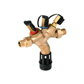 Zawór zwrotny BA295S 2"