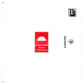 Dwa zawory hydrantowe typ ZH-52 wraz z obudową. Szafka ochronna 550. Szafka zawieszana, Znak B, zamek OTS, kolor RAL 9003