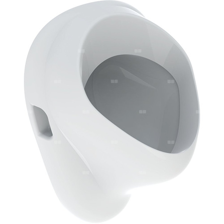 Geberit Felix Pisuar, B35cm, H56cm, T35.5cm, dopływ z tyłu, odpływ do tyłu