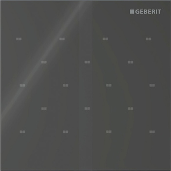 Elektroniczny zawór spłukujący Geberit do pisuaru, zasilanie bateryjne, Typ 40, szkło czarne, prostokątny