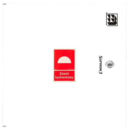 Dwa zawory hydrantowe typ ZH-52 wraz z obudową. Szafka ochronna 550. Szafka zawieszana, Znak B, zamek OTS, kolor RAL 9003