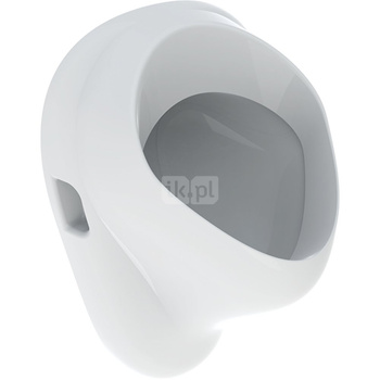 Geberit Felix Pisuar, B35cm, H56cm, T35.5cm, dopływ z tyłu, odpływ do tyłu