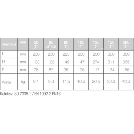 Wodomierz jednostrumieniowy suchobieżny przemysłowy, typu WDE-K50 DN 125 Q3=160 m3/h R100/100, Tmax: 50st.C, L=250 mm