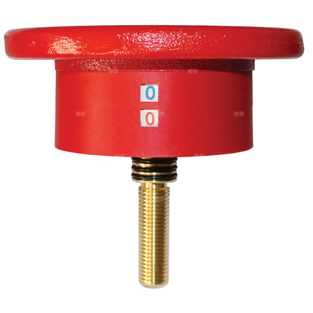 Zestaw części zamiennych do 4218 GF, DN200 - 250