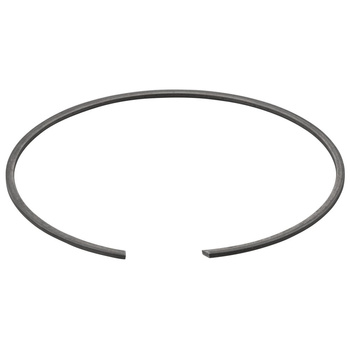 Pierścień rozprężny REMS