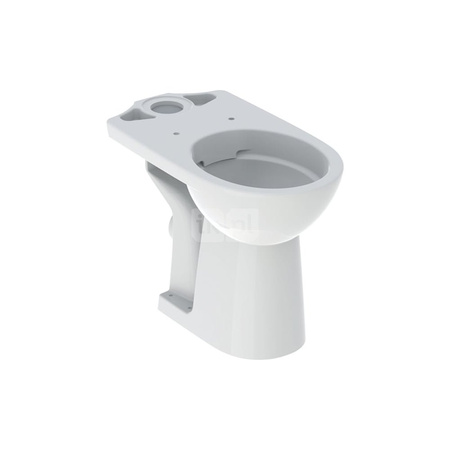 Deska sedesowa Geberit Selnova Comfort bez barier, antybakteryjna, mocowanie od góry: Wolne opadanie=Nie, Zawiasy wypinane=Nie, Mocowanie=Od góry, Biały