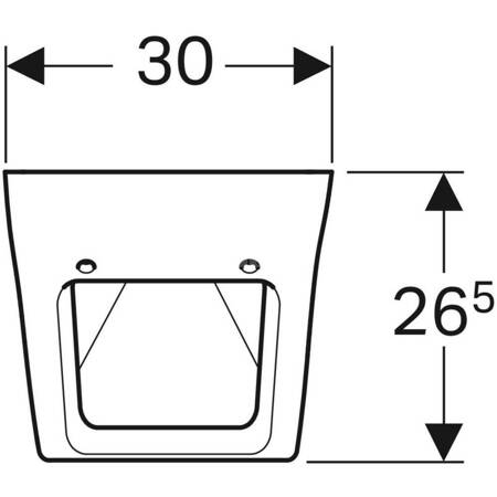 Geberit Pareo Pisuar do pokrywy, B30cm, H52cm, T26.5cm, dopływ z tyłu, odpływ do tyłu